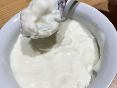 -古树酸奶(八廓南街店)