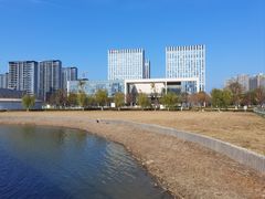 -金沙湖公园