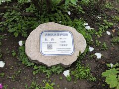 -龙华寺
