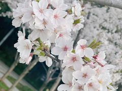 -龙美术馆(西岸馆)