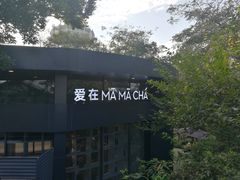 -MAMACHA妈妈茶(岳麓山店)