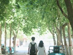 -同济大排档