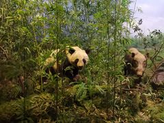 -陕西自然博物馆