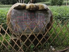 -黑龙江省森林植物园