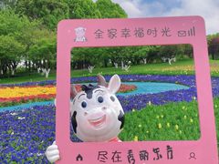 -秀丽东方