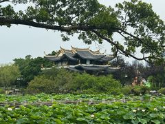 -江心屿景区