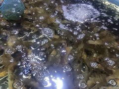 -聚盛源蒸汽海鲜火锅烤肉自助(巨川金海岸购物广场店)