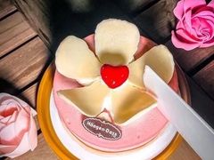 -哈根达斯(大洋百货店)