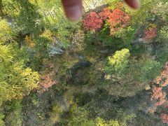 -少华山国家森林公园