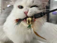 -怪兽屋·羊驼·猫咖·狗咖(俊华广场店)