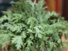 蓬蒿-虾领航小龙虾·吉林烧烤(柳州路店)