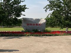 -御林古桑园