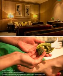 -健身堂科技美肌SPA