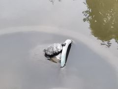 -汇龙潭