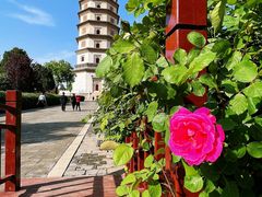 -开元寺塔