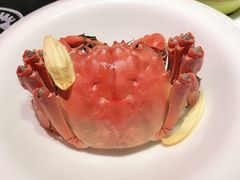 清蒸大闸蟹-蟹榭·本帮江浙菜·蟹宴(五角场合生汇商场店)