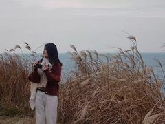 -龙头岩(Dragon Head Rock)