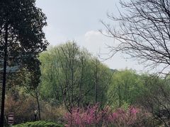 -宝界山林公园