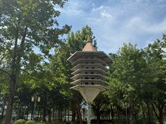 -顺峰山公园