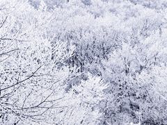-安吉龙王山风景区