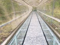 -汕尾铜鼎山旅游区