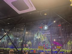 -杨记齐齐哈尔烤肉(五莲路店)
