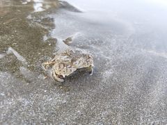 -嵊泗基湖沙滩