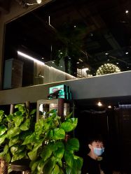 -意念造型