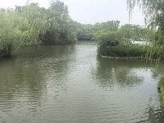 -溱湖国家湿地公园