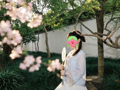 -秋霞圃