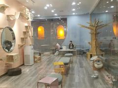 -BABIT巴比特宠物(MOMOPARK店)