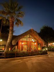 -翱翔飞越地平线