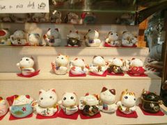 -猫咪博物馆(顶澳仔猫街店)