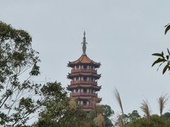 -大雁山风景区