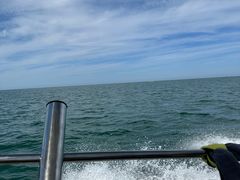 -山东大学(威海校区)