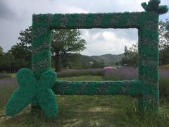 -黄陂区野村谷景区