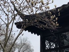 -拙政园