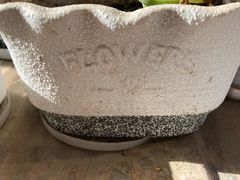 -秦美花卉(天朗·莱茵小城2期店)