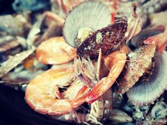 大锅蒸海鲜-大锅强·蒸海鲜青岛菜(吾悦广场店)