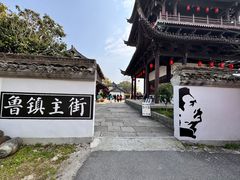 -鲁镇
