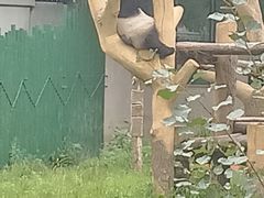 -沈阳森林动物园