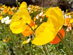 -名花谷生态庄园