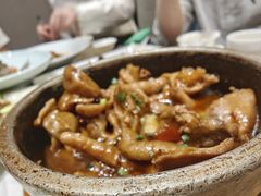 -芙蓉凰花园酒楼