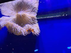 -迪拜水族馆及水下动物园