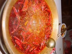 -小龙坎火锅(全球旗舰店)