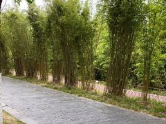 -武汉园博园(武汉自然博物馆)
