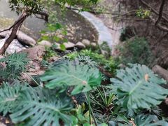 -燕晗山郊野公园