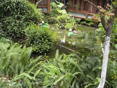 -大妙火锅·非物质文化遗产(东湖公园店)