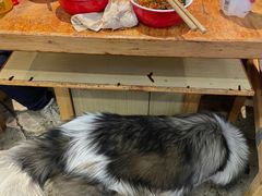 -袁记串串香(新南门店)