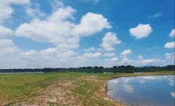 -268童话露营营地·烧烤·团建